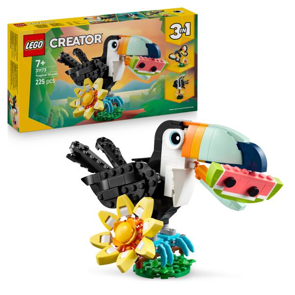 Wilde Tiere: Tropischer Tukan 31173