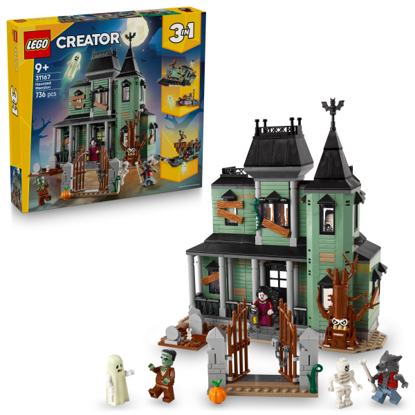 Geisterhaus 31167