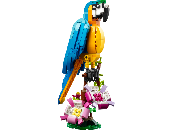 Exotischer Papagei 31136
