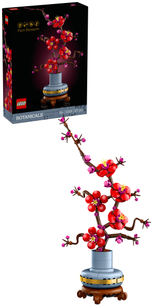 Pflaumenblüte 10369