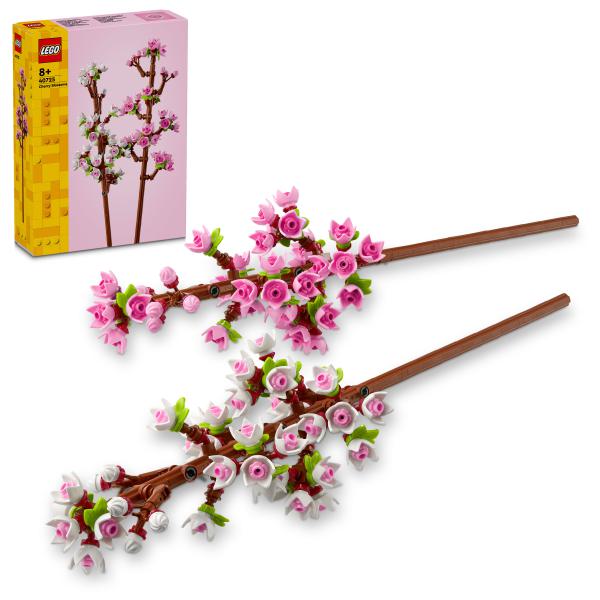 Kirschblüten 40725