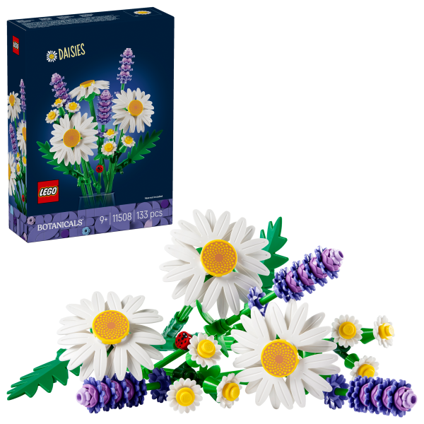 Gänseblümchen 11508