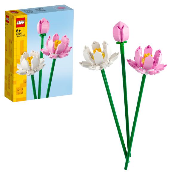 Lotusblumen 40647