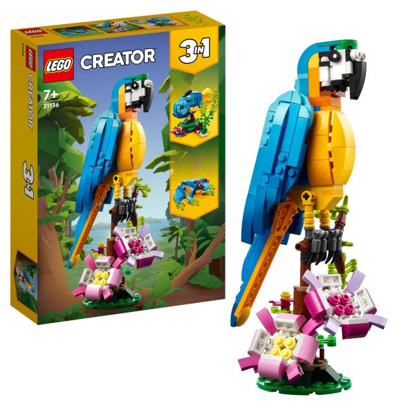 Exotischer Papagei 31136