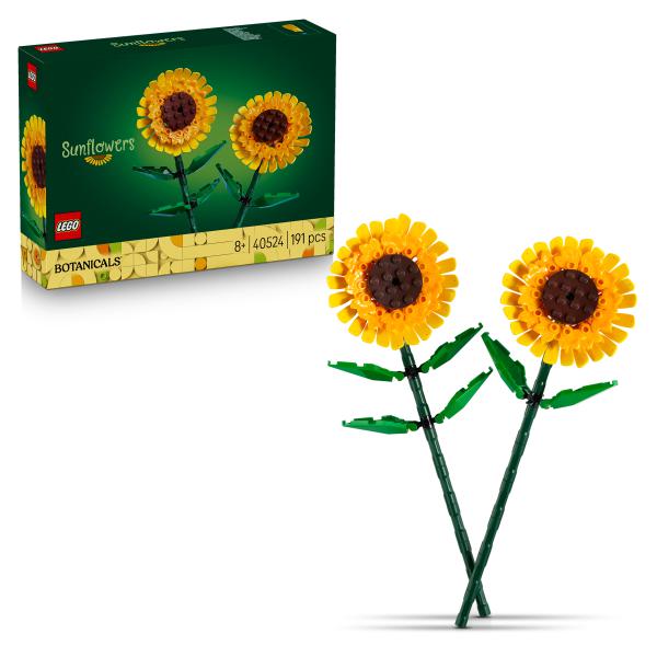 Sonnenblumen 40524