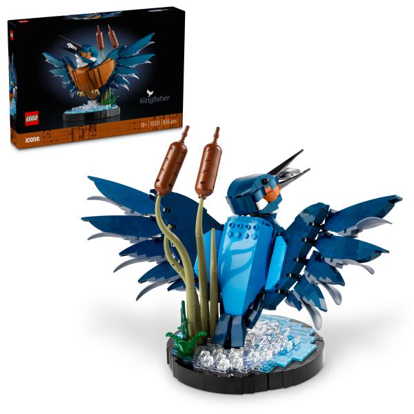 Eisvogel 10331