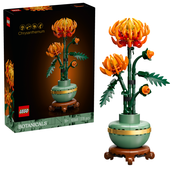 Chrysantheme 10368